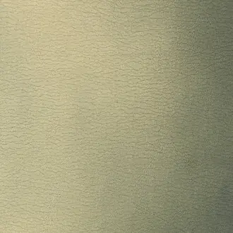 Picasso GV229