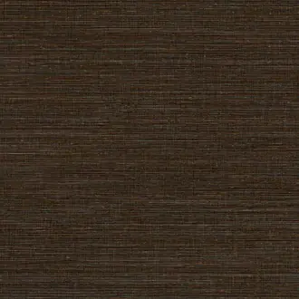 Canvas 313504