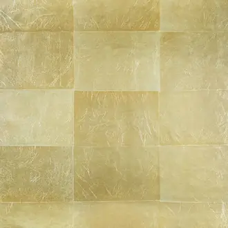 Picasso GV229