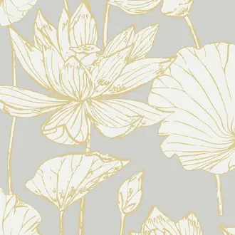 Water Lily Floral