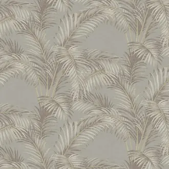 Palmaria PA01625
