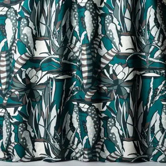 Agaves 10859-67