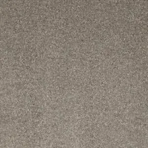 Ancolie A3602 02 98