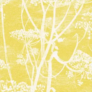 Cow Parsley 66-7051