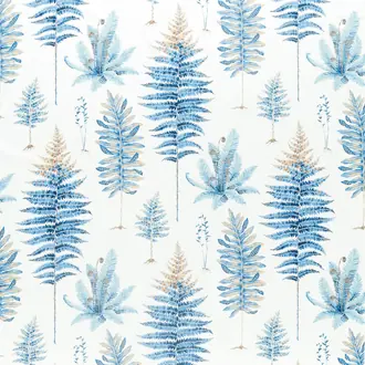 Fernery 226580