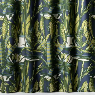 Agaves 10859-75