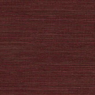 Canvas 313505