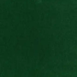 Fuzzy Evergreen