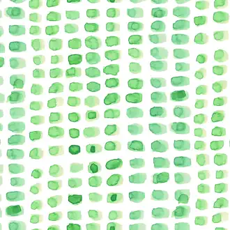 Micro 223137