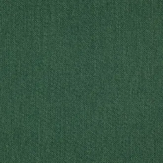 Scribble Conifer