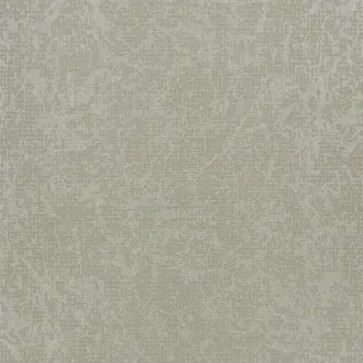 Boratti Birch PDG682-01