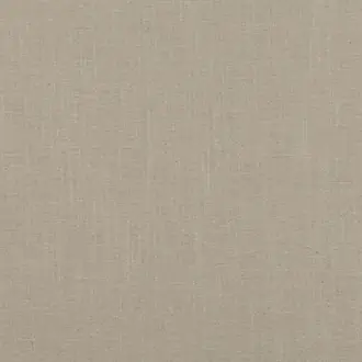 Asuri Seashell 7726-01
