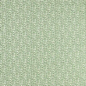 Sorrel 134657