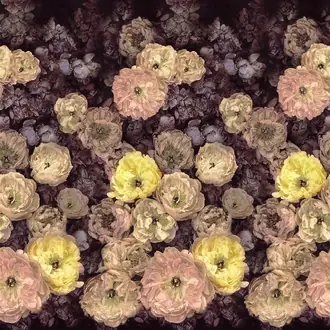 Le Poeme De Fleurs PDG1107-01
