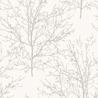 Winter Branches