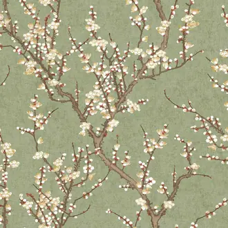 Spring Blossom 1903-4