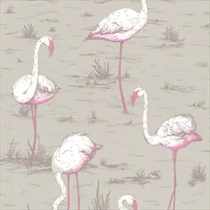 Flamingos 66-6042