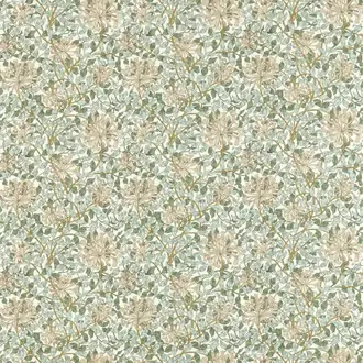 Honeysuckle 227122