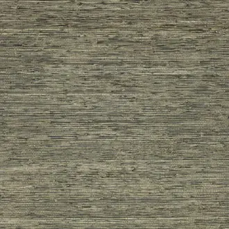 Arrowroot Metal