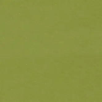 Cassia F2034-43