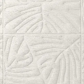 Monstera 43024
