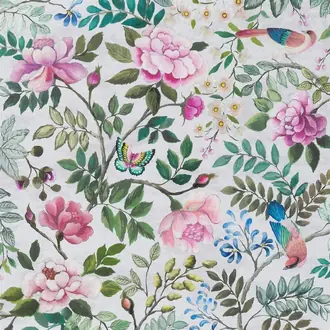 Porcelaine de Chine PDG1146-01