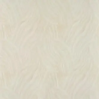 Aelys FP021001