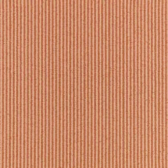 Lawn Pink Apricot