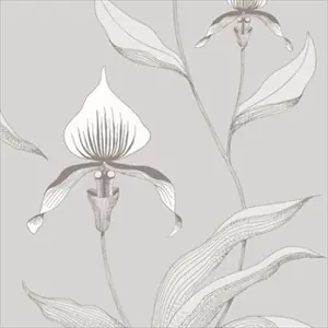 Orchid 95-10055