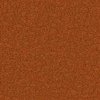 Aria FDG3119-20