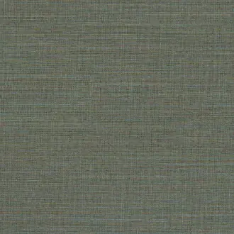 Canvas 313507