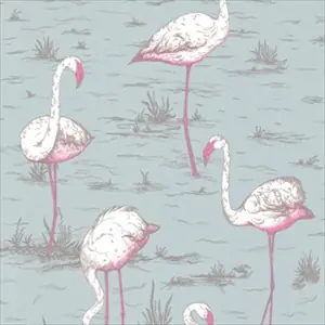 Flamingos 66-6044