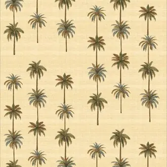 Palm Field JT021094-001