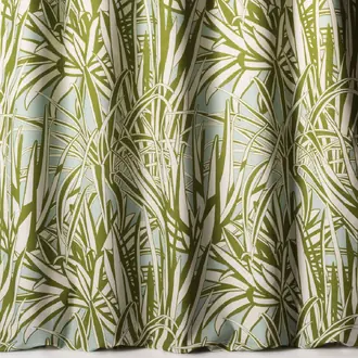 Aloe 10860-61