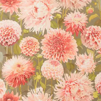 Dahlia 112845
