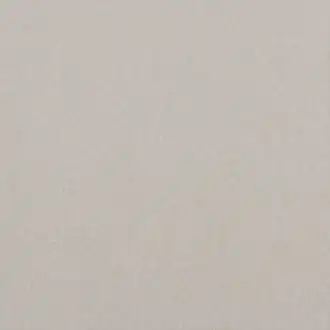Carnival Plain PF50420-925