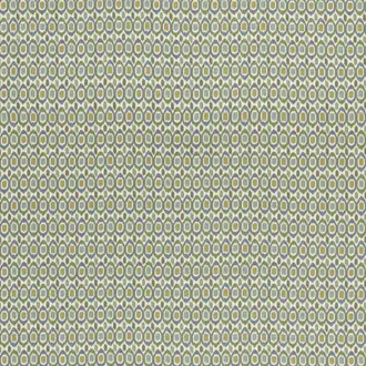 Tigris BP11077-1