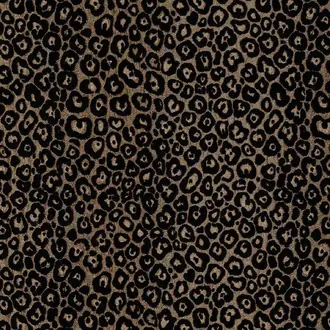 Zambia Bronze