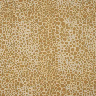Wild Complexions JT014022-001