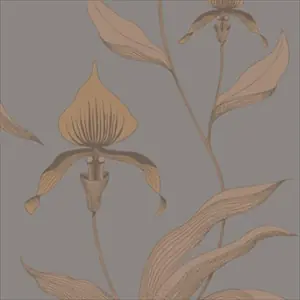 Orchid 95-10056