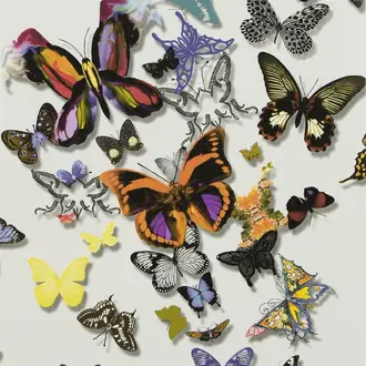 Butterfly Parade PCL008-01