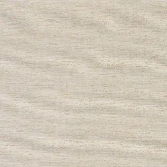 Aiden FP037001