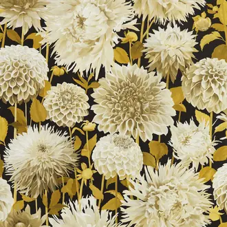 Dahlia 112846