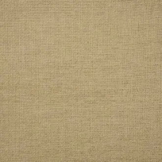 Raffia Weave JT013920-002