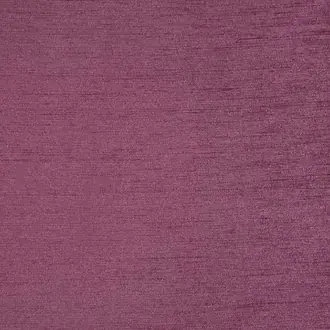 Kensington Fushsia