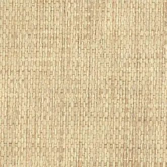 Woven Rattan Palm 1851