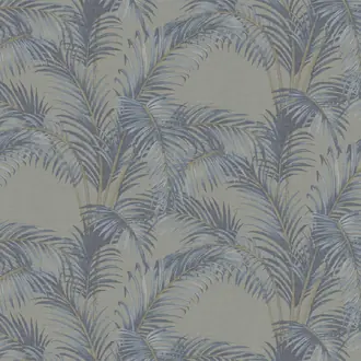 Palmaria PA01624