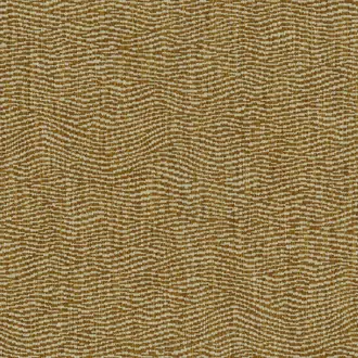 Tidal LF2543FR-004