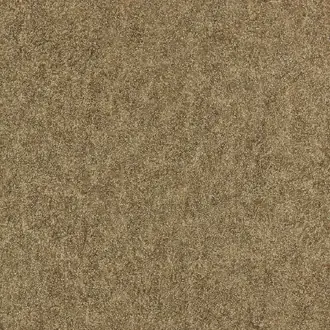 Shagreen 312904