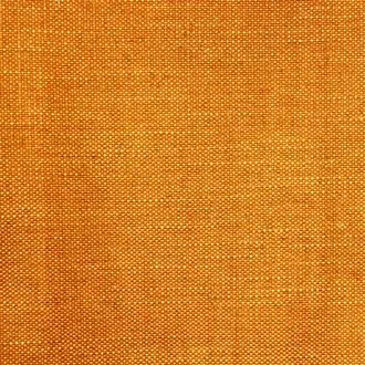 Acer 22 Pumpkin